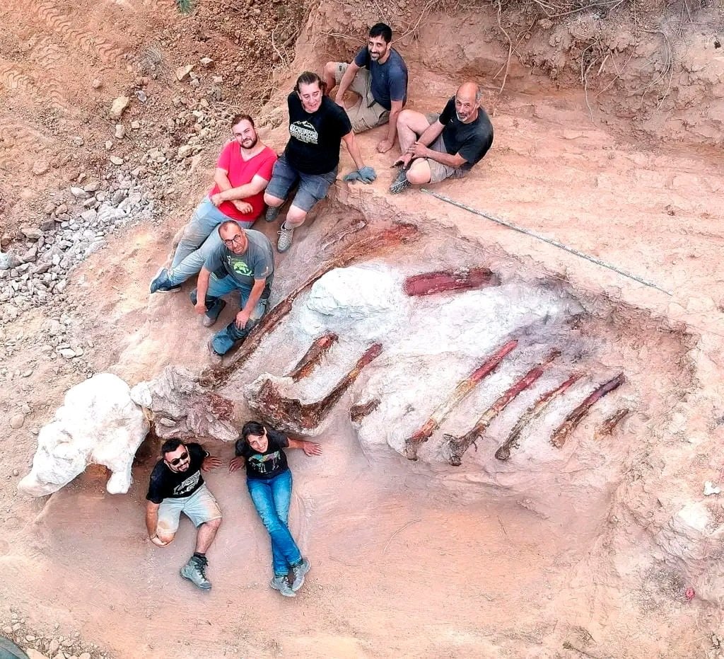 Scientists pose during a phase of the excavation works of a partial skeleton of a sauropod dinosaur at the Monte Agudo fossil site, in Pombal, Portugal in this handout taken in August 2022. (Instituto Dom Luiz (Faculty of Sciences of the University of Lisbon) /Handout via REUTERS)