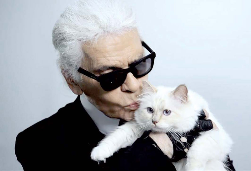 Lagerfeld's cat earns $4 million, has 2 maids | Daily Sabah