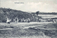 Families of the tsarist White Army found asylum in the Ottoman Empire in Gallipoli.