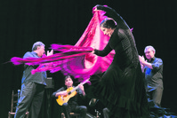 Yerbabuena won the Best Dancer Prize at Premios Flamenco, one of Spain's most prestigious awards, in 1999, 2000 and 2011.