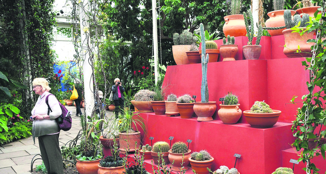 Fridakahlos Garden Grows Againin New York