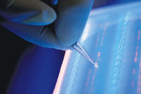 The human genome is the full complement of DNA, or genetic material, a copy of which is found in nearly every cell of the body. 