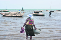 Haiti's northern coast suffers from the harvesting of coral offshore for construction material and soil erosion that deposits smothering silt along the coastal shelf.