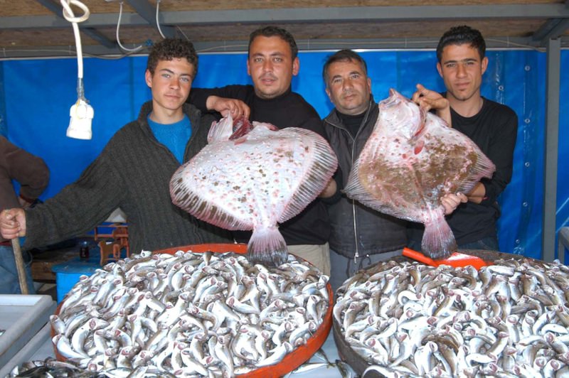Turkey SPAM?????  IFish Fishing Forum