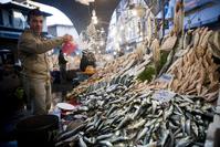 Beu015fiktau015f Fish Market