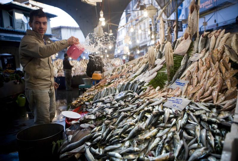 Take a tour around Istanbul's best fish markets | Daily Sabah