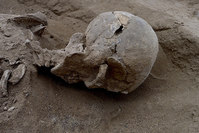 Detail of the skull of the skeleton of a man found lying prone in the sediments of a lagoon 30km west of Lake Turkana, Kenya, January 20, 2016. (REUTERS Photo)