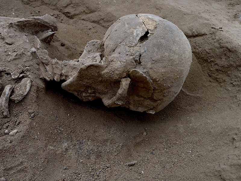 Detail of the skull of the skeleton of a man found lying prone in the sediments of a lagoon 30km west of Lake Turkana, Kenya, January 20, 2016. (REUTERS Photo)