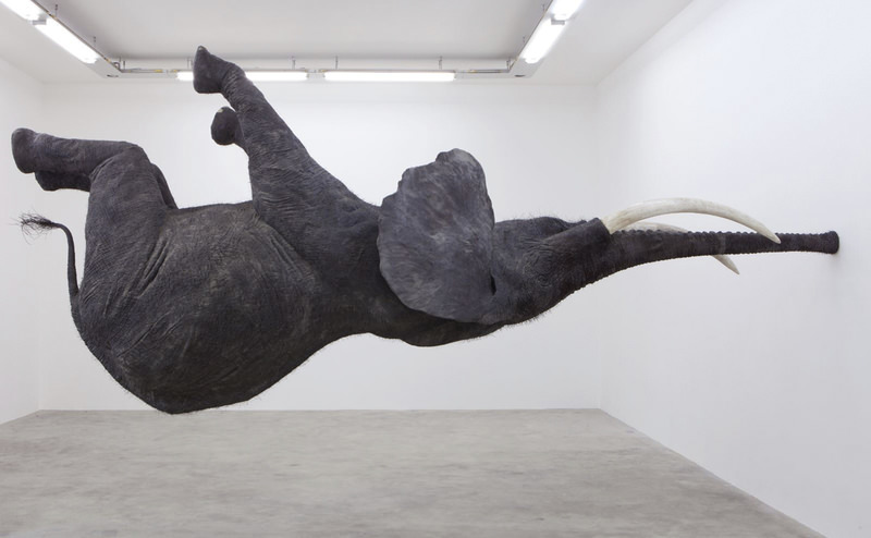  ,Nasutamanus,, a hyper-realistic scale elephant standing on its trunk floates in space, defying gravity in a paradoxical pose.
