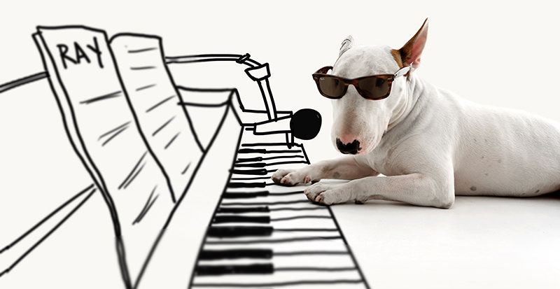This 2013 photo provided by artist Rafael Mantesso shows his bull terrier, Jimmy Choo, with a piano keyboard that Mantesso has drawn in on the floor around him, at his studio (AP Photo)