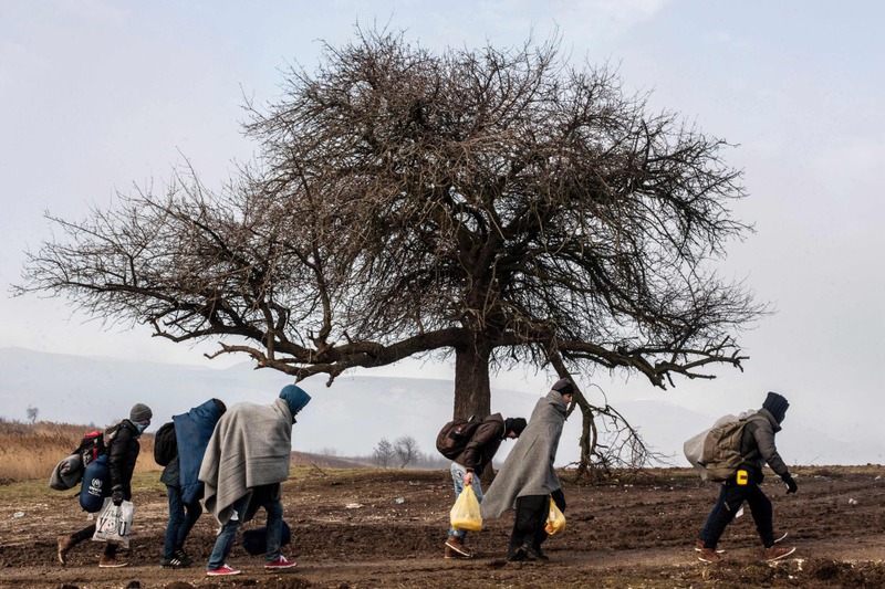 Refugees walk past a tree after crossing into Serbia from Macedonia near the village of Miratovac.