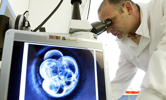  Dr Stojkovic looking through a microscope, after a human embryo was cloned for the first time in Britain ( Owen Humphreys/PA Wire)