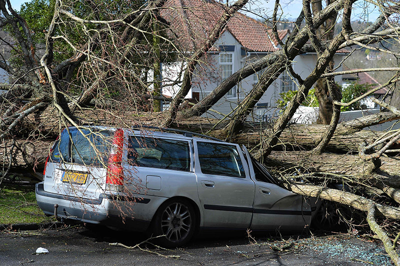 A tree that fell in high winds brought by Storm Katie lies across a car in a street in Brighton on March 28, 2016 (AFP Photo)