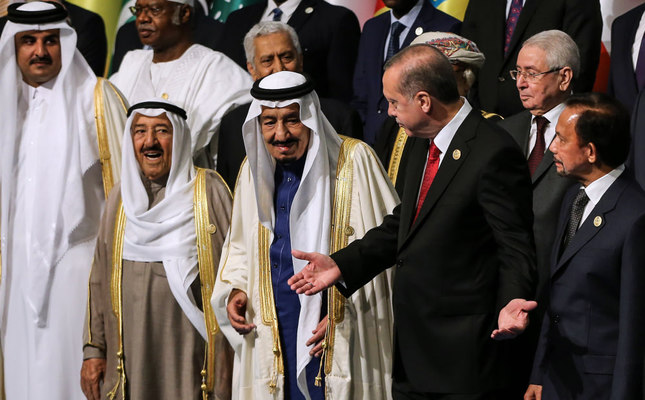 After the OIC summit in Istanbul: How to reach unity ...