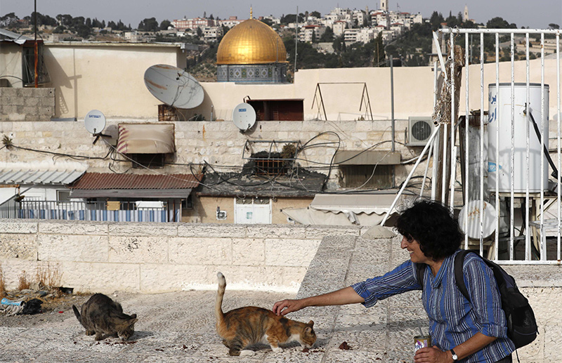 Tova Saul, an Orthodox Jew, feeds stray cats in a neighbourhood in Jerusalem's Old City, on July 12, 2017