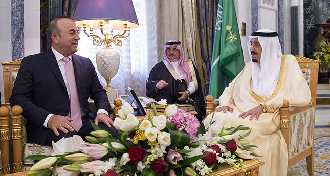 وزير الخارجية التركي يلتقي ملك السعودية في الرياض