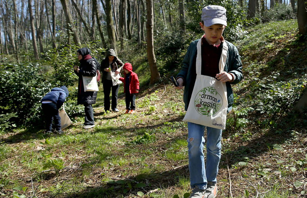 16,000 children become ‘forest explorers’ through Turkish program