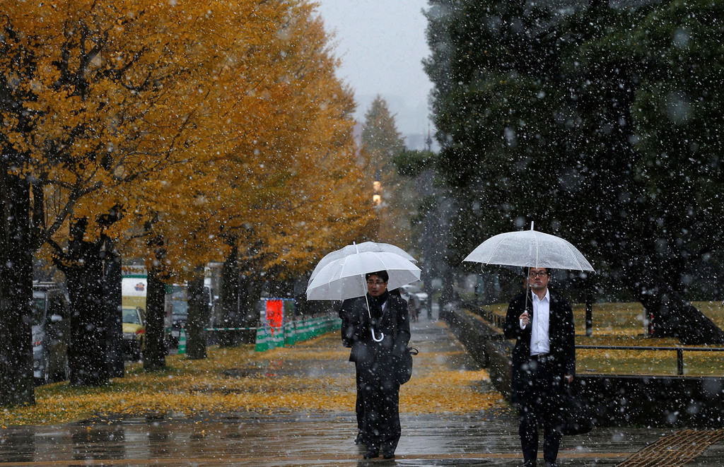 Men walking near ginkgo trees during the first November snowfall in 54 years in Tokyo, at a park in Tokyo, Japan, Nov. 24, 2016. (REUTERS Photo)