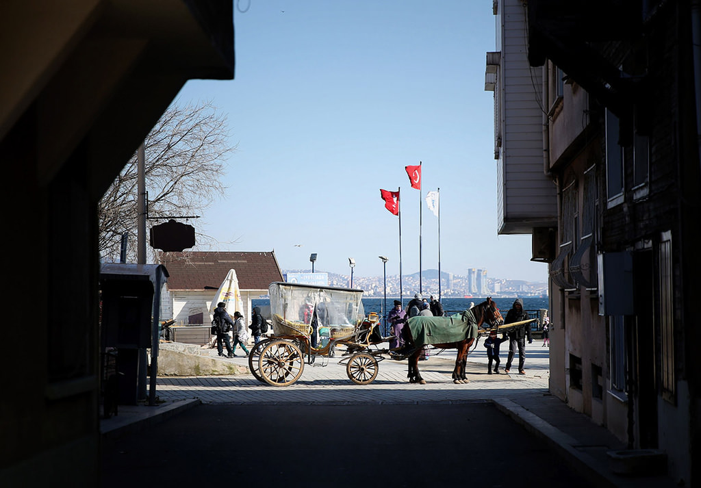 Street cats reign over Istanbul’s Heybeliada in winter