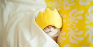 Napping for 30 minutes or longer increases your risk of falling into the deep stages of sleep. (Anna Rise / iStock)