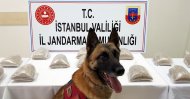 This file photo dated March 03, 2019 shows sniffer dog Atak posing in front of heroin displayed upon seizure in a police raid, at the Provincial Gendarmerie Command in Istanbul. (Photo: Sabah / Mustafa Kaya)