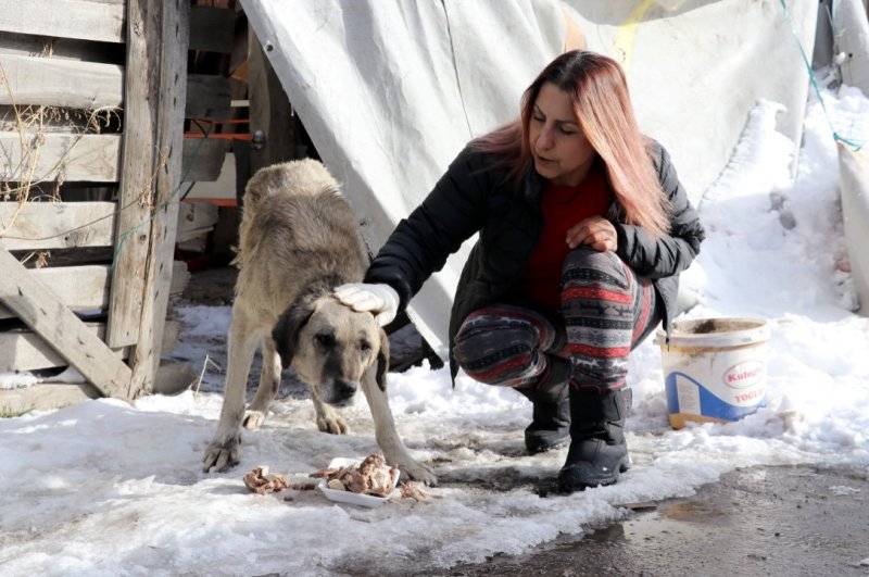 Nurten Tezer, a member of the Animal Rights Federation, feeds a dog in the central city of Sivas, Jan. 20, 2019. (AA Photo)