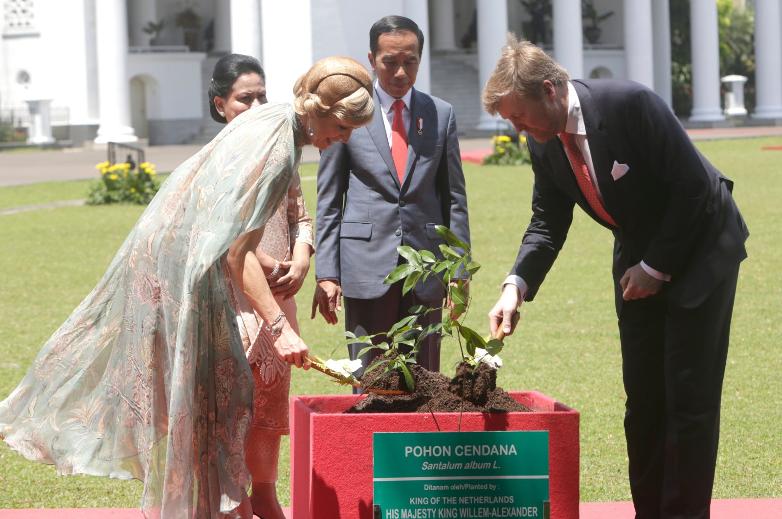 Dutch King Willem-Alexander (R) and Queen Maxima (L) accompanied by Indonesian President Joko Widodo (2nd R) and wife Iriana Joko Widodo (2nd L) plant a tree during their visit to the Presidential Palace in Bogor on March 10, 2020. (AFP Photo)