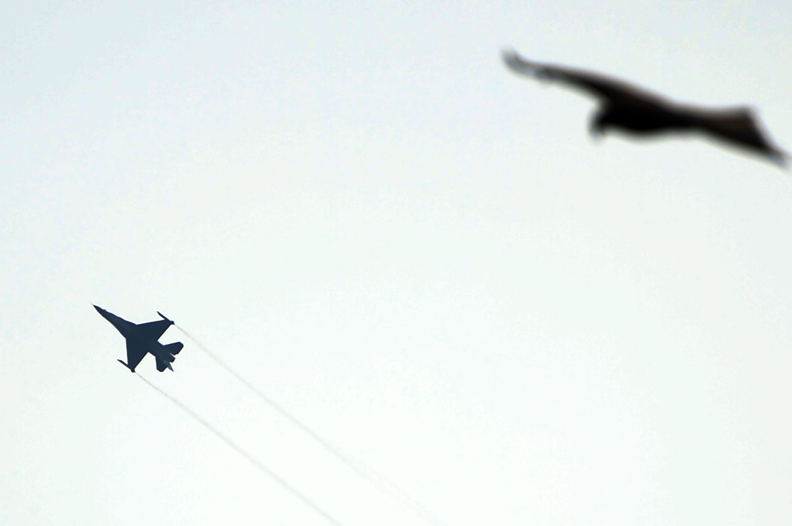 A Pakistani F-16 fighter makes a manoeuvre before crashing during a rehearsal ahead of Pakistan Day military parade in Islamabad on March 11, 2020. (AFP Photo)
