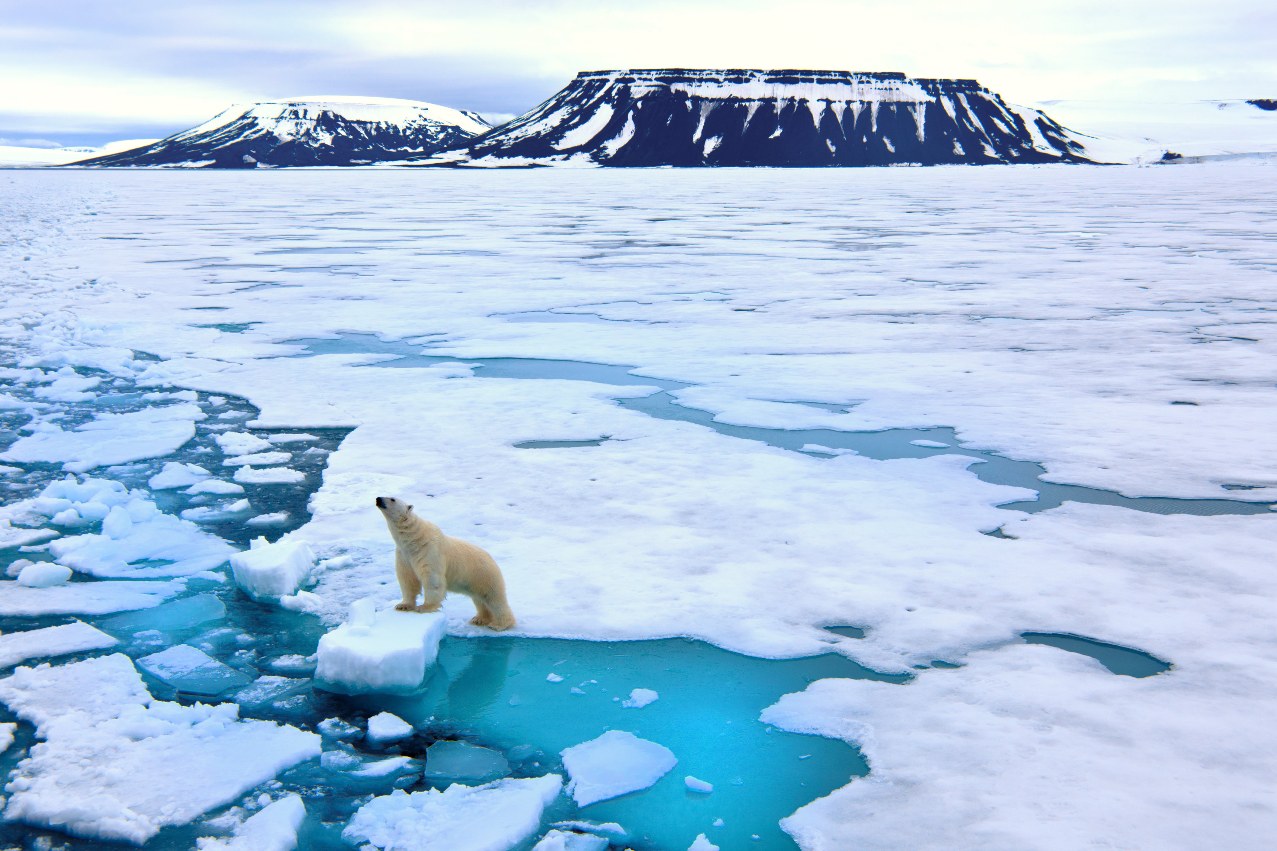 Global Warming Polar Ice Caps