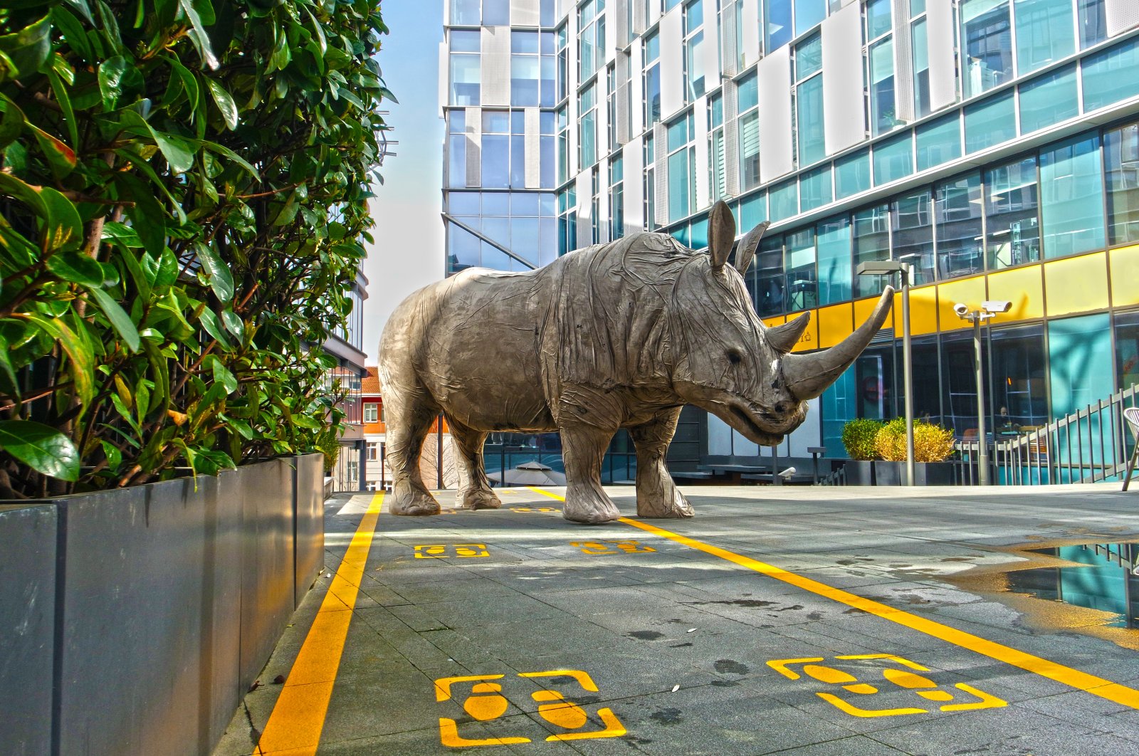'Rhinos Back in Town' to open at Masterpiece Hall in Istanbul | Daily Sabah