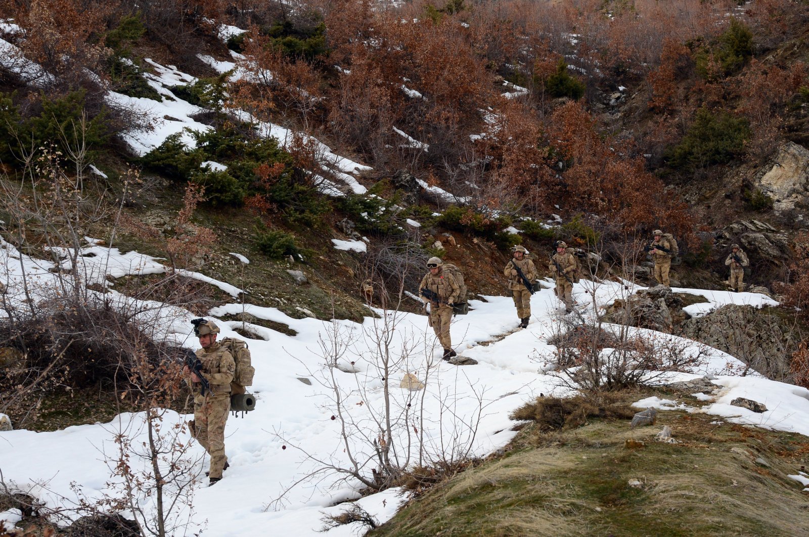 Bitlis provincial gendarmerie forces participate in anti-terror operation (AA Photo)