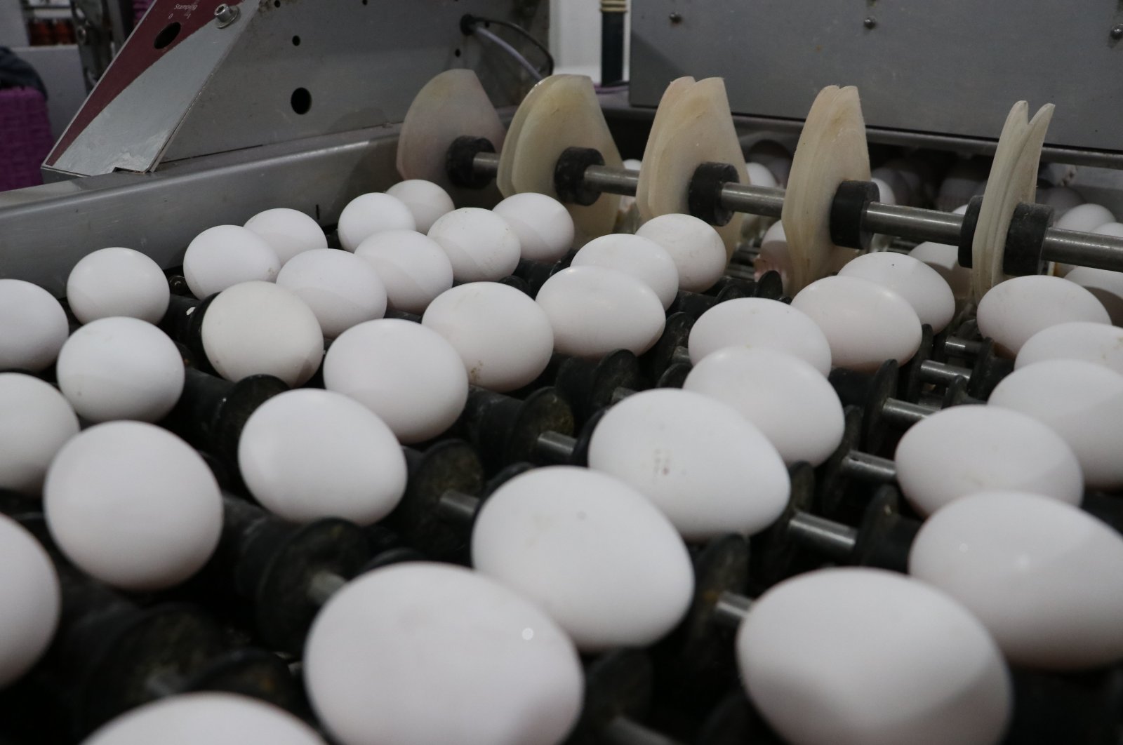 Turkey's total egg exports amounted to $215.82 million in 2019. (AA Photo)