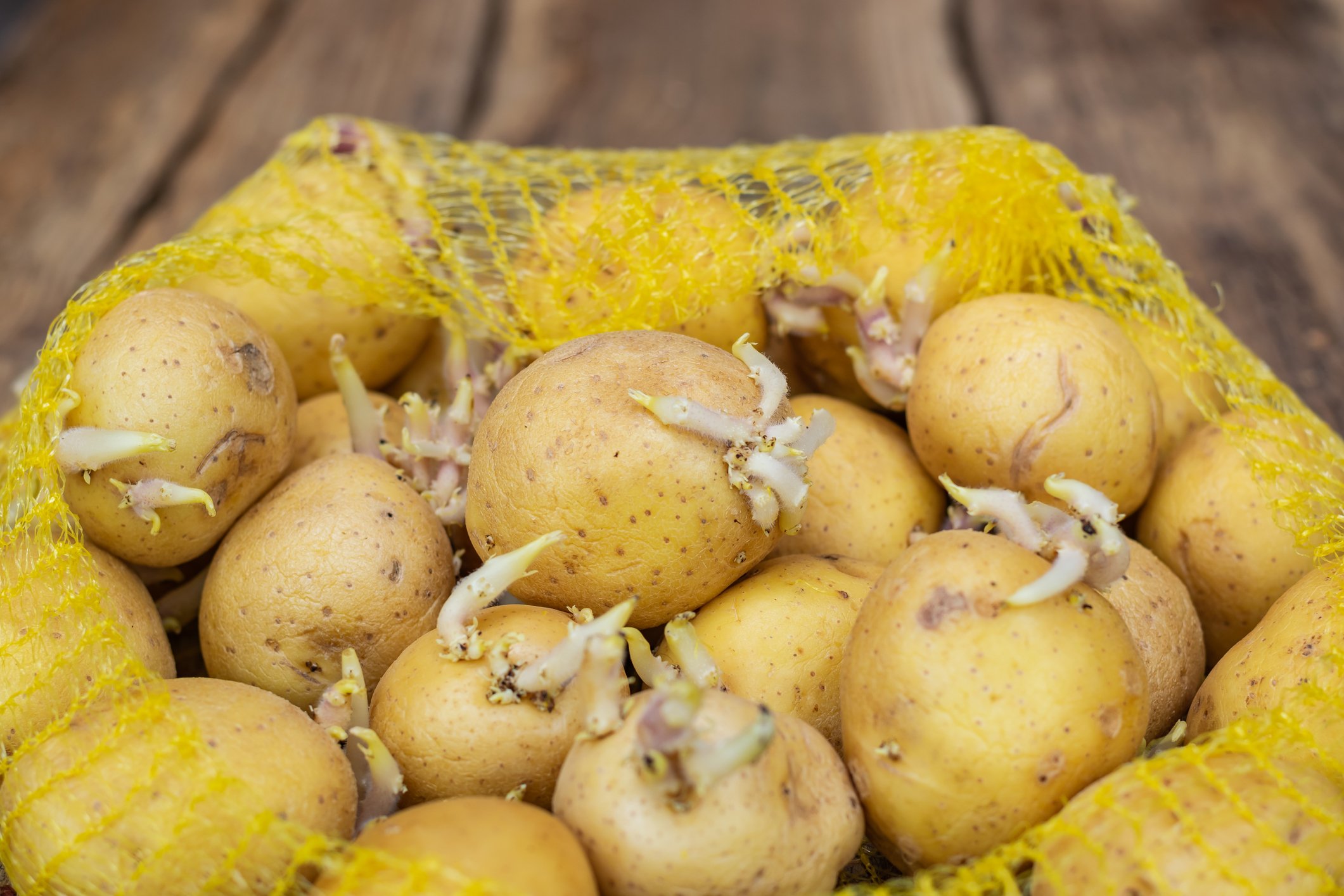 The #1 Way to Use Up Your Soft, Sprouting Potatoes - The Art of