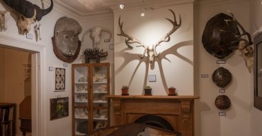 Some bone works at New Zealand artist Bruce Mahalski's villa-turned-museum. (DPA Photo)