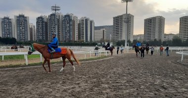 Jockeys ride horses in Veliefendi racetrack in Istanbul, Monday, March 23, 2020. (DHA Photo)