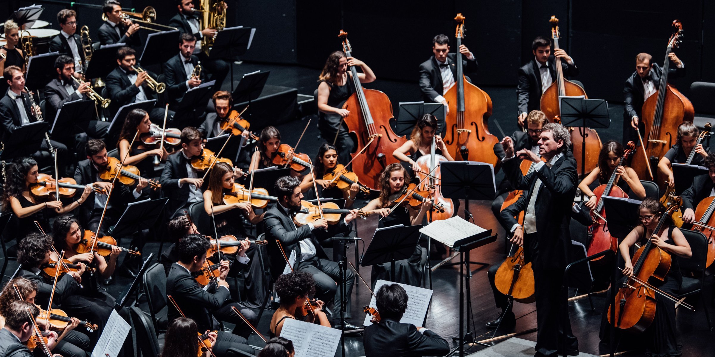 Turkey's National Youth Philharmonic Orchestra holds online auditions