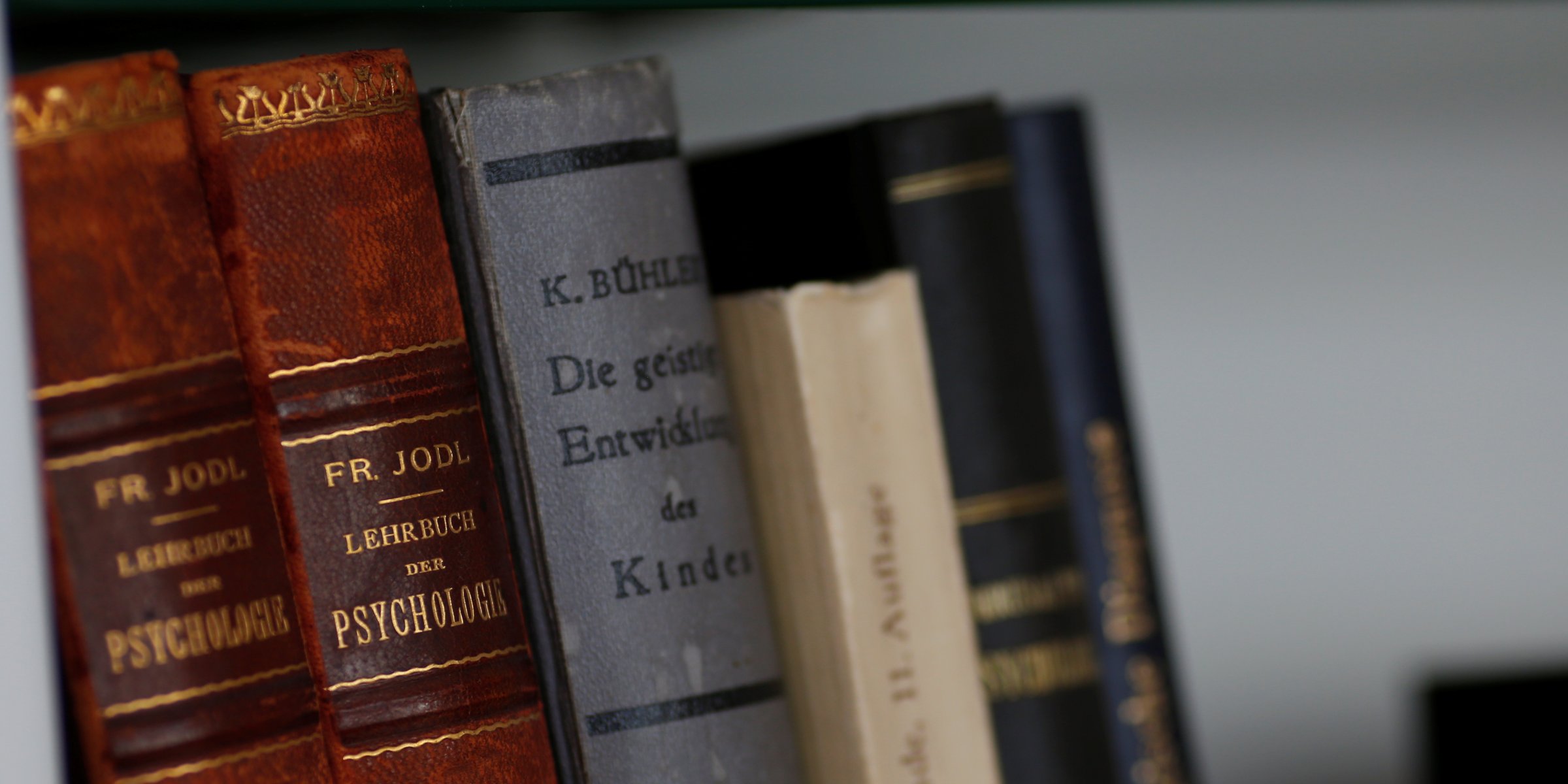 Number of published books in Turkey reaches new high | Daily Sabah