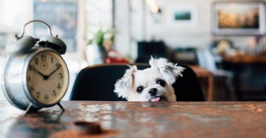 Over time, daylight saving time messes with our body clock and can trigger cardiac problems. (iStock Photo)