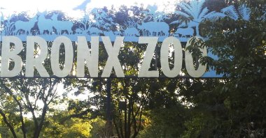 This Sept. 21, 2012, file photo shows an entrance to the Bronx Zoo in New York, U.S. A tiger at the zoo has tested positive for the new coronavirus. (AP Photo)