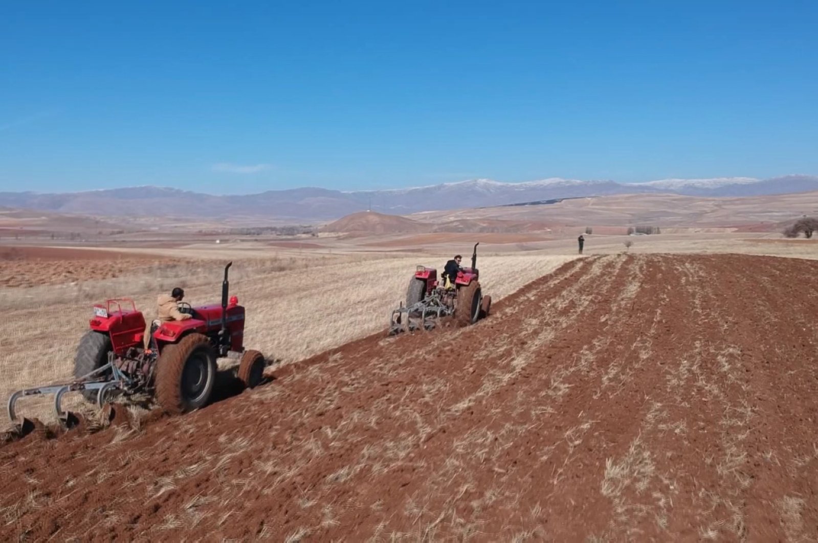 Farmers are seen working at a plantation in Turkey's northeastern Bayburt province, Saturday, April 4, 2020. (DHA Photo)