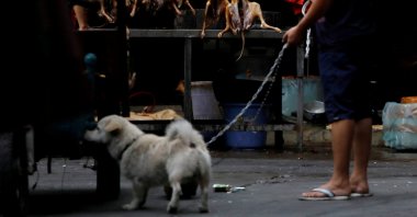 A man walks with his pet dog as he talks to a vendor who sells dog meat at a market in Yulin, Guangxi Autonomous Region, China, June 21, 2018. (Reuters Photo)