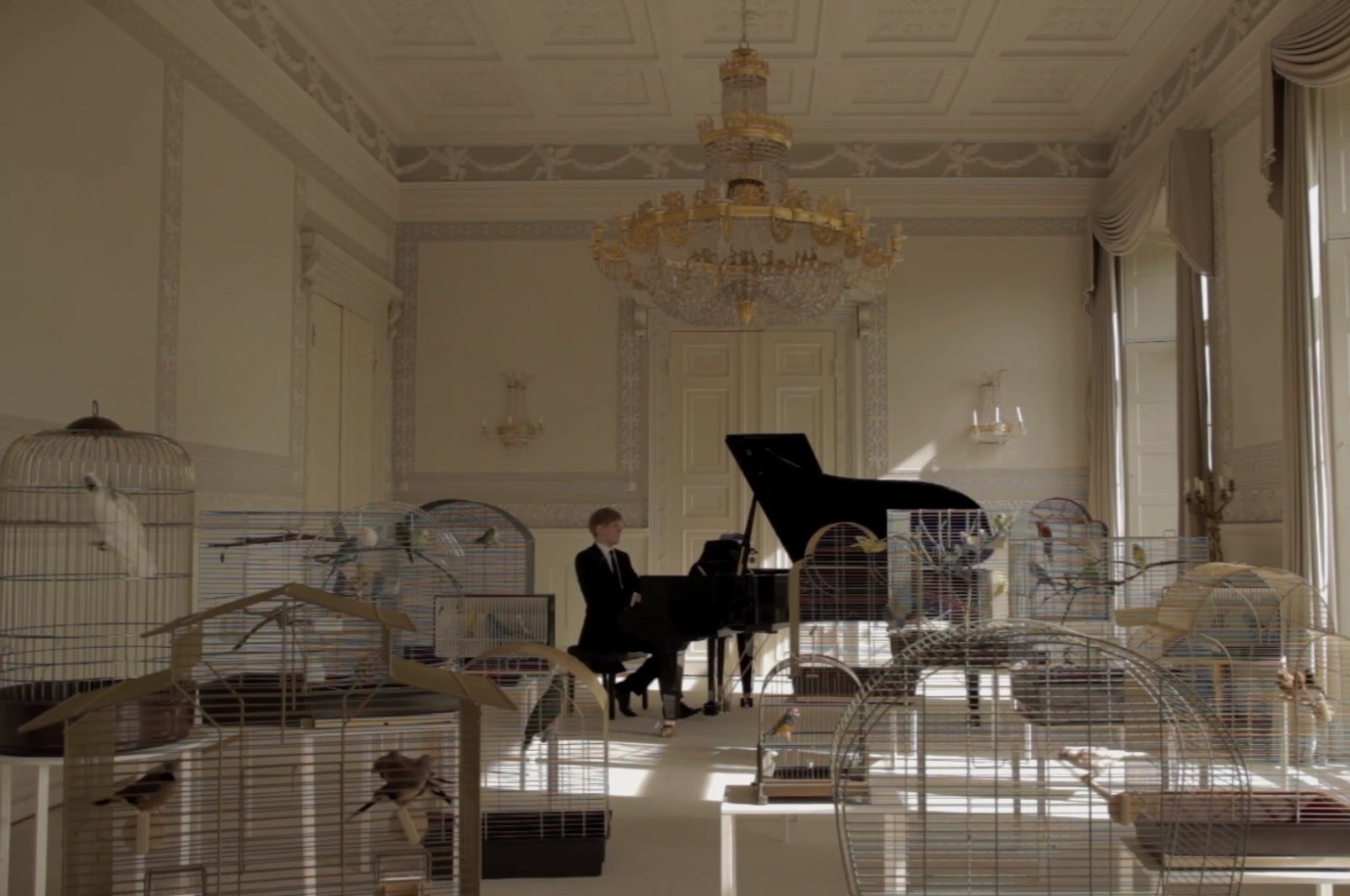 Still from  Annika Kahrs' 14-minute “Playing to the Birds” video.