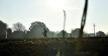 Local residents pick asparagus as they work at Dyas Farms, as foreign workers, the backbone of the U.K.'s agriculture force, are missing from the country's fields thanks to the coronavirus lockdown, in Sevenscore, Britain, April 16, 2020. (Reuters Photo)