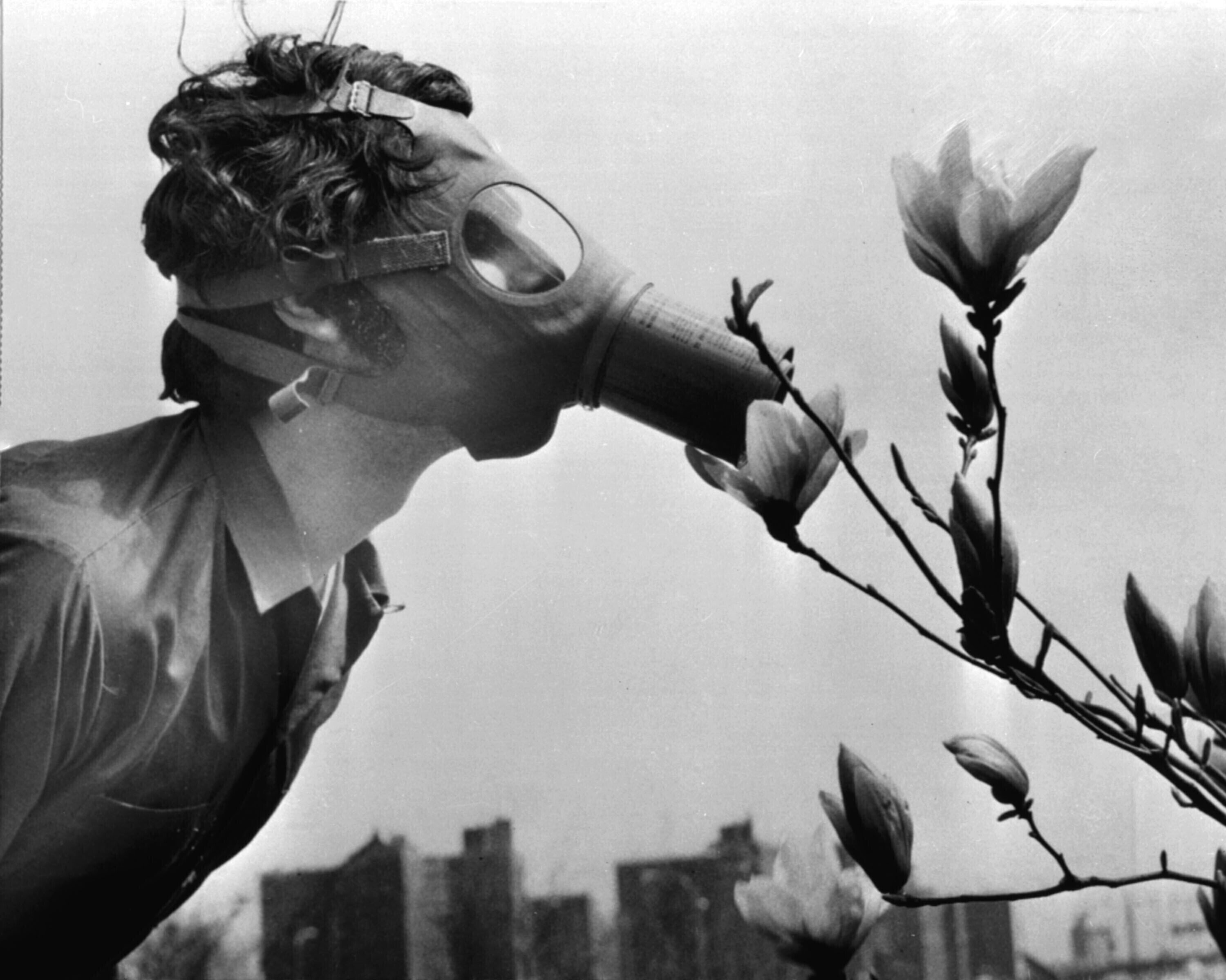 A Pace College student in a gas mask 'smells' a magnolia blossom in City Hall Park on the first Earth Day, New York, April 22, 1970. (AP Photo)