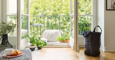 Growing an apartment garden is a great investment for your physical and mental health. (iStock Photo)