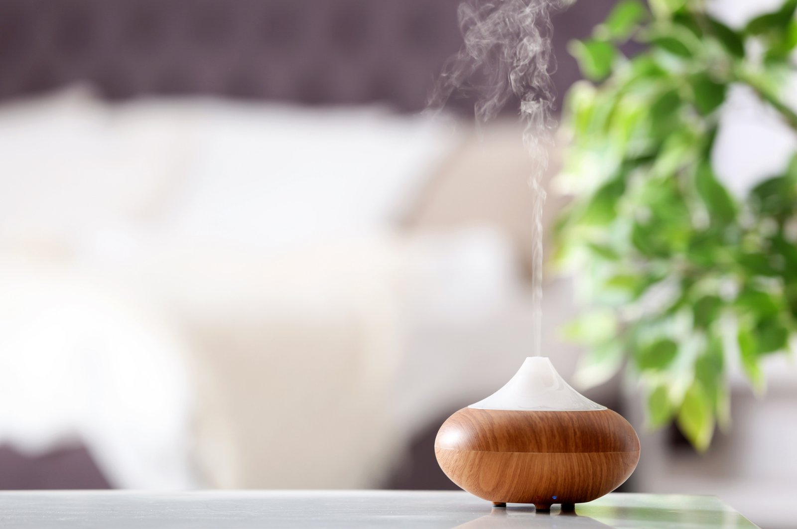 Touted as a zen must-have nowadays, oil diffusers can come with serious side effects. (iStock Photo)