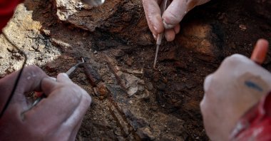 Two paleontologists unearth fossilized bones in the Valley of Las Chinas, in the Chilean Patagonia, Chile, Feb. 25, 2020. (EPA Photo)