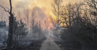 A forest fire burns near the village of Volodymyrivka, in the exclusion zone around the Chernobyl nuclear power plant, Ukraine, April 5, 2020. (EPA Photo)