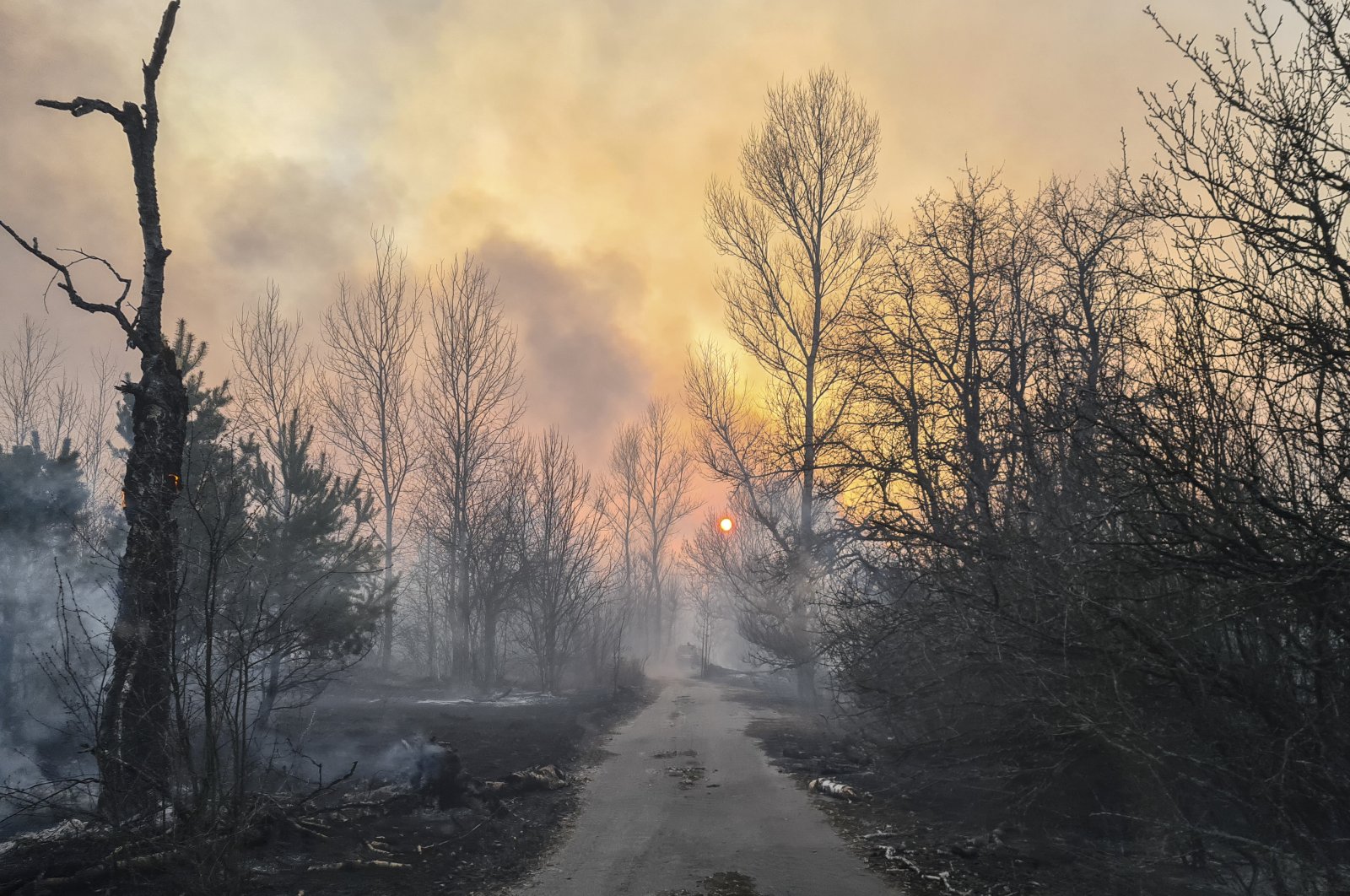 A forest fire burns near the village of Volodymyrivka, in the exclusion zone around the Chernobyl nuclear power plant, Ukraine, April 5, 2020. (EPA Photo)