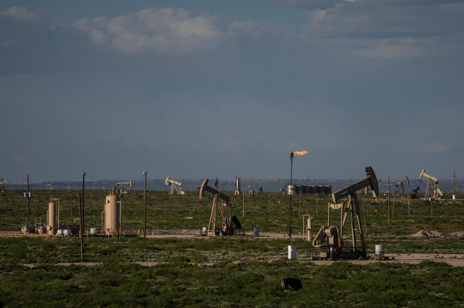 A pump jack operates near Loco Hills in Eddy County, New Mexico, U.S., April 23, 2020. (AFP Photo)